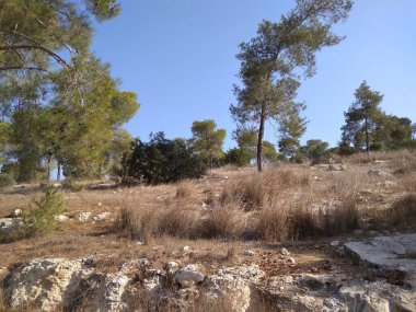 Afula Dağı Givat Hamore