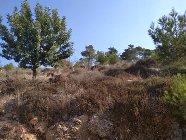 Afula Dağı Givat Hamore