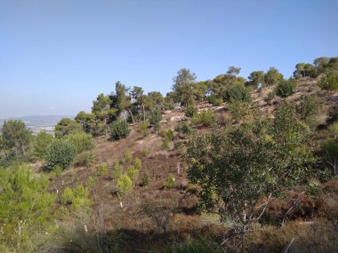 Afula Dağı Givat Hamore