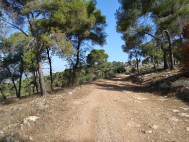 Afula Dağı Givat Hamore