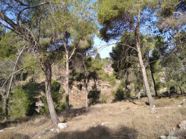 Afula Dağı Givat Hamore