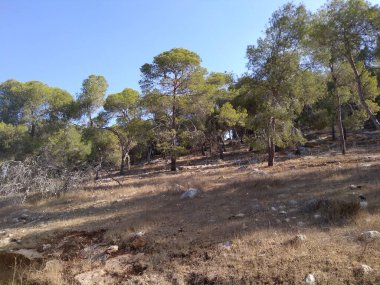 Afula Dağı Givat Hamore