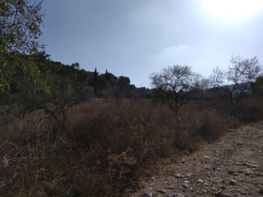 Afula Dağı Givat Hamore