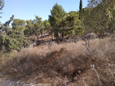 Afula Dağı Givat Hamore