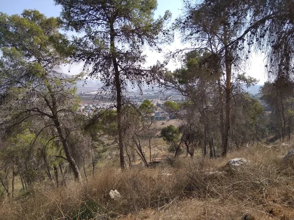 Afula Berg Givat Hamore — Stockfoto