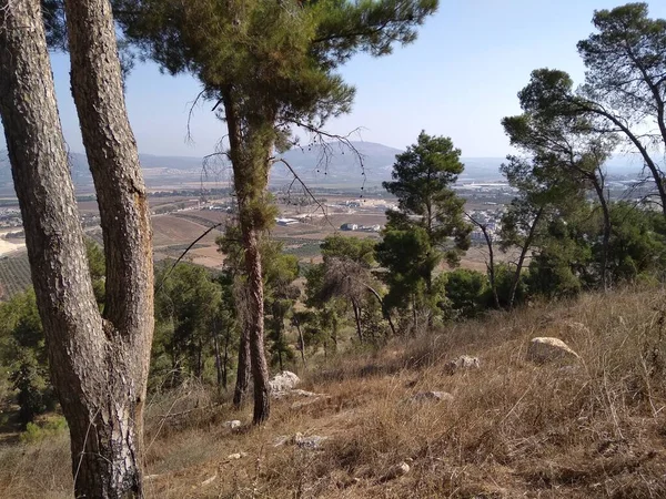 Afula Góra Givat Hamore — Zdjęcie stockowe