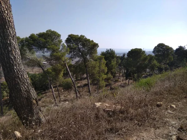 Afula Dağı Givat Hamore