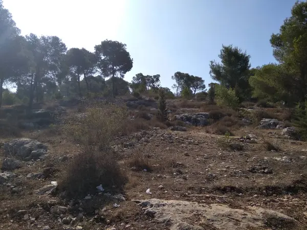 Afula Monte Givat Hamore — Fotografia de Stock