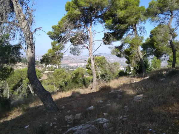 Afula Mount Givat Hamore — 图库照片