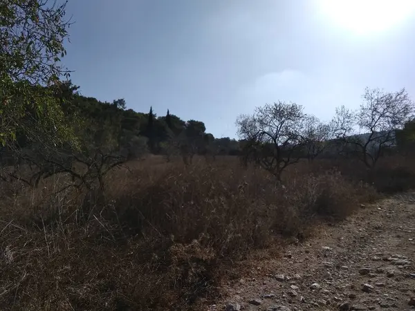 Afula Dağı Givat Hamore