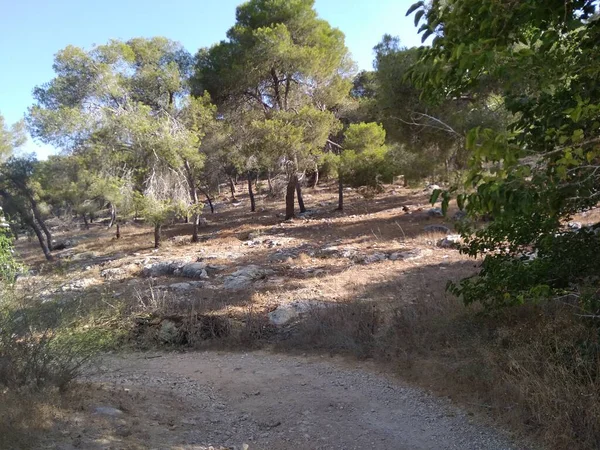 Afula Monte Givat Hamore Fotos de stock libres de derechos