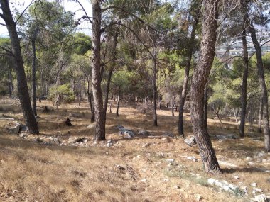 Afula Dağı Givat Hamore