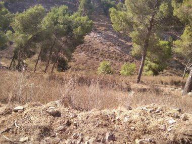 Afula Dağı Givat Hamore