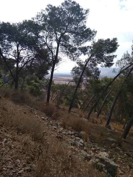 Afula Mount Givat Hamore — Stock fotografie