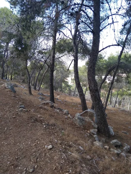 Afula Monte Givat Hamore — Fotografia de Stock