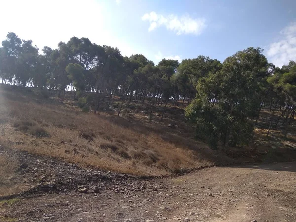 Afula Mount Givat Hamore — 스톡 사진