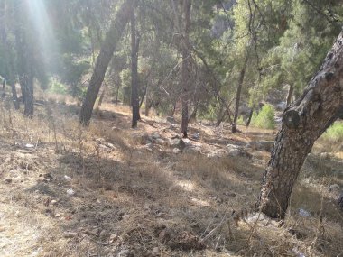 Afula Dağı Givat Hamore