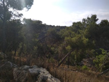 Afula Dağı Givat Hamore