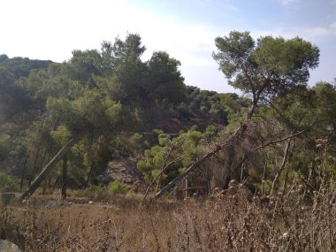 Afula Dağı Givat Hamore