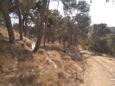 Afula Dağı Givat Hamore