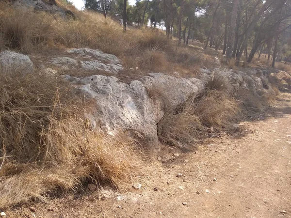 Αφούλα Όρος Givat Hamore — Φωτογραφία Αρχείου