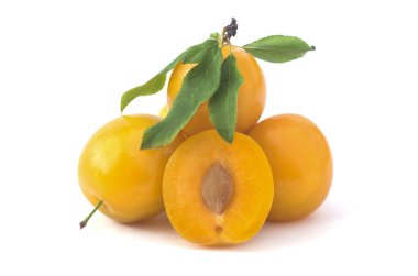 Ripe plums on a white background clipart