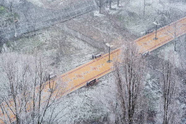 Kar Yağışı Kış Sokağı Karla Kaplı Ağaçlar Şehir Parkında Manzarası — Stok fotoğraf