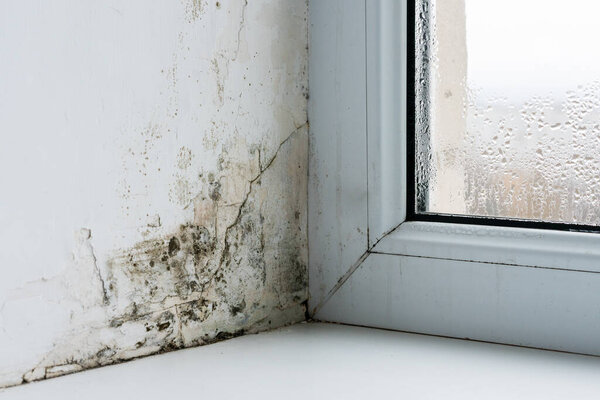 Mold in the corner of the plastic windows.
