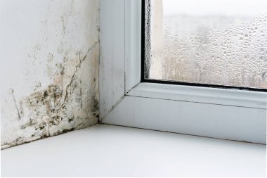 Plastik pencerelerin köşesindeki küf..