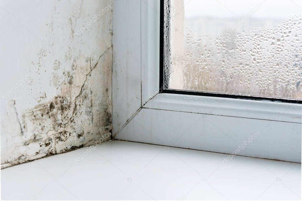 Mold in the corner of the plastic windows.