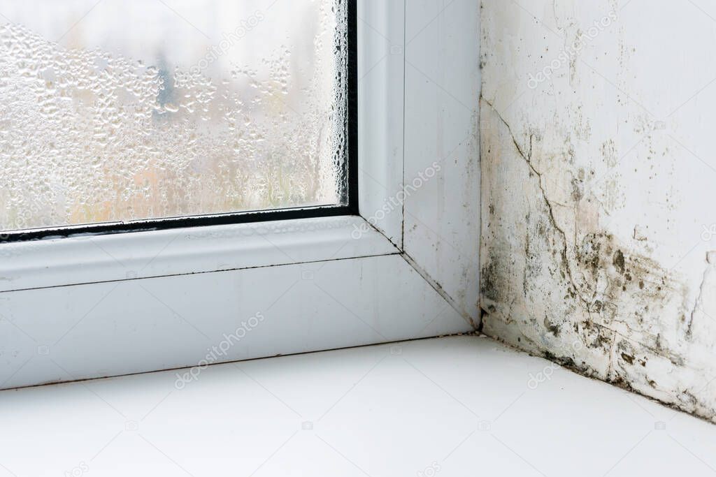 Mold in the corner of the plastic windows.