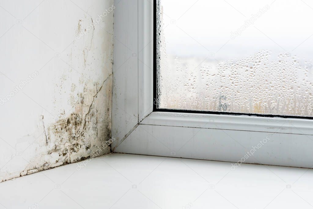 Mold in the corner of the plastic windows.