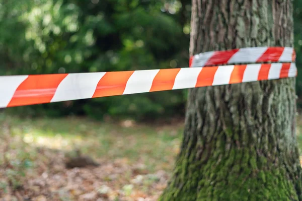 Red White Barrier Tape Fenced Dangerous Place Crime Scene Forest — Stock Photo, Image