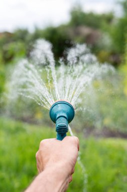 Gardener's hand holds a hose with a sprayer and watered the plants in the garden. clipart