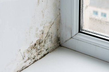 Plastik pencerelerin köşesindeki küf..