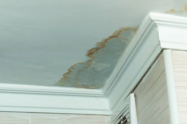 Neighbors Have Water Leak Water Damaged Ceiling Close Stain Ceiling — Stock Photo, Image