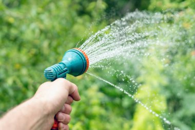 Bahçıvanın eli bir hortumu spreyle tutuyor ve bahçedeki bitkileri suluyor..