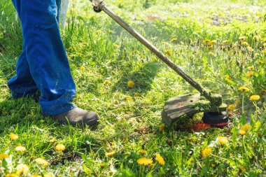 Bahçıvan bahçede bir budama makinesiyle çimleri biçer..