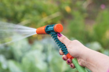 Bahçeyi sprey hortumla sulayan bir el..