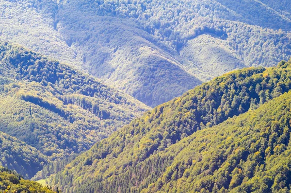 Uçan tepeler ve sık orman tepe örtüsü ile yemyeşil dağ sıralarının çarpıcı hava manzarası.