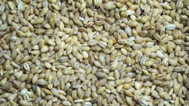 İşlenmemiş Buğdayın Dokularını ve Renklerini Doğal Işıkta Vurgulayan Yakın Çekim Tahılları Eğitim ve Mutfak Bağlamları İçin Mükemmel