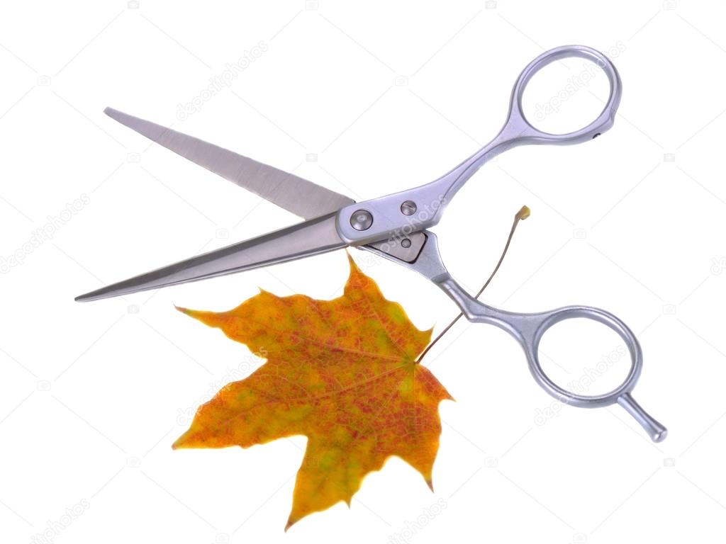 scissors for cutting on a white background