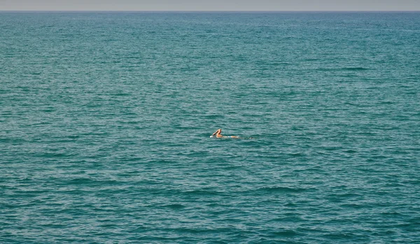 Swimmer in the sea — Stock Photo, Image