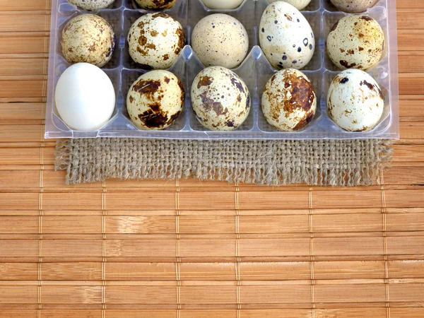 küçük bıldırcın yumurtası