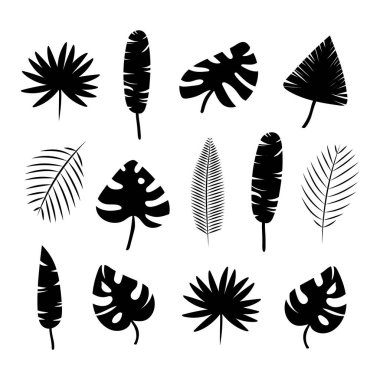 Tropikal palmiye yapraklarından, ağaçlardan oluşan siyah siluetler. Stock Vektör İllüstrasyonu