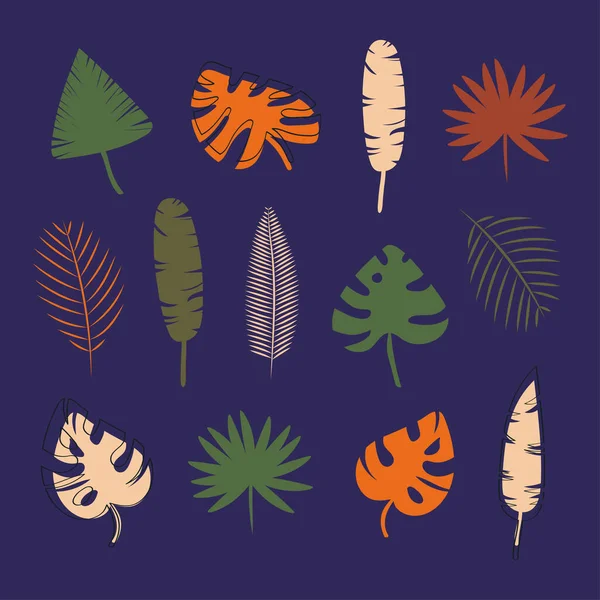 Vector Set Colored Tropical Leaves Isolated White Background Stock Vector — Stock Vector