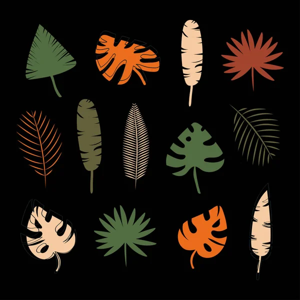 Набор Ярких Силуэтов Тропических Листьев Пальм Черном Фоне Векторная Иллюстрация — стоковый вектор