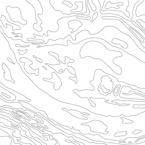 Mapa Línea Topografía Senderismo Montaña Concepto Mapa Topográfico Con Espacio — Archivo Imágenes Vectoriales