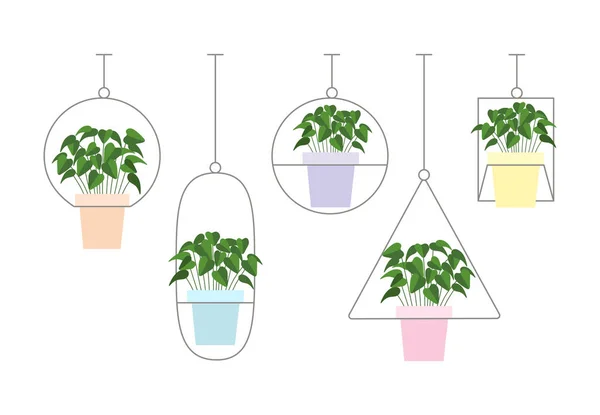 Botanical Home Garden House Plants Flowers Pots Gardening Elements Winter — ストックベクタ