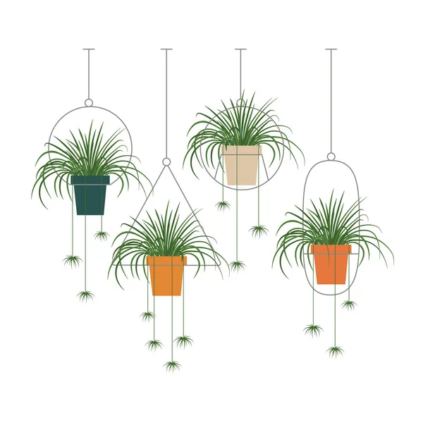 Botanical Home Garden House Plants Flowers Pots Gardening Elements Winter — ストックベクタ